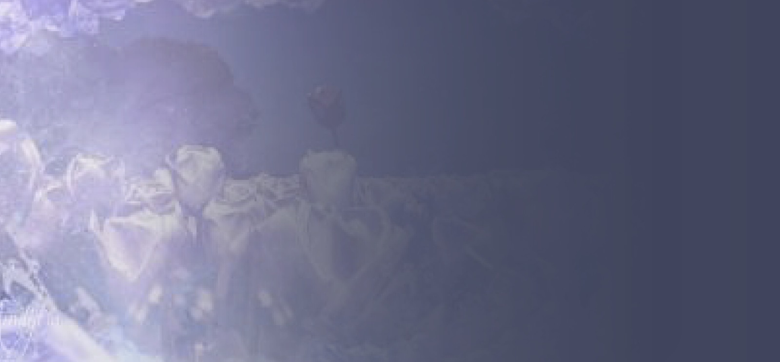 عنوان المقال