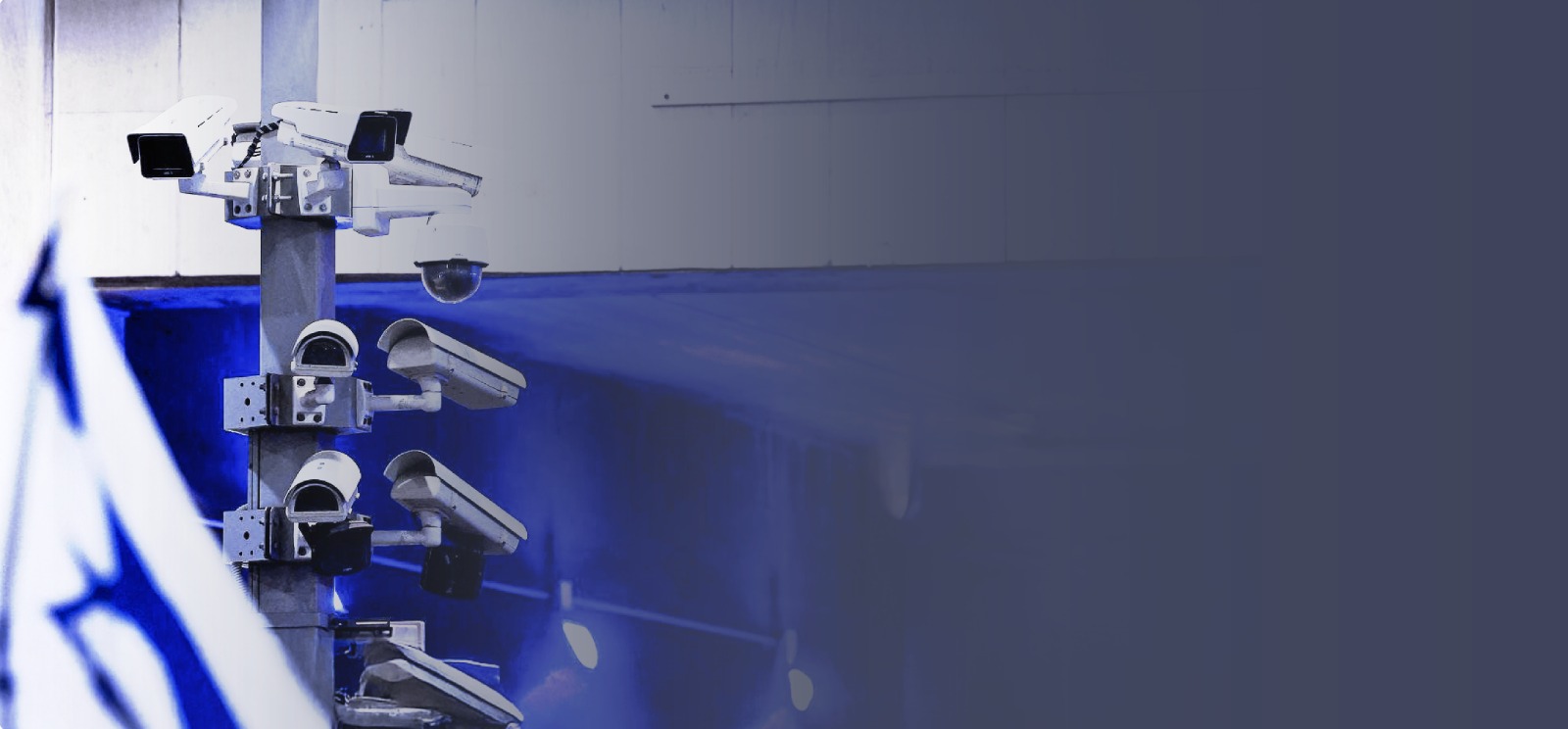 عنوان المقال