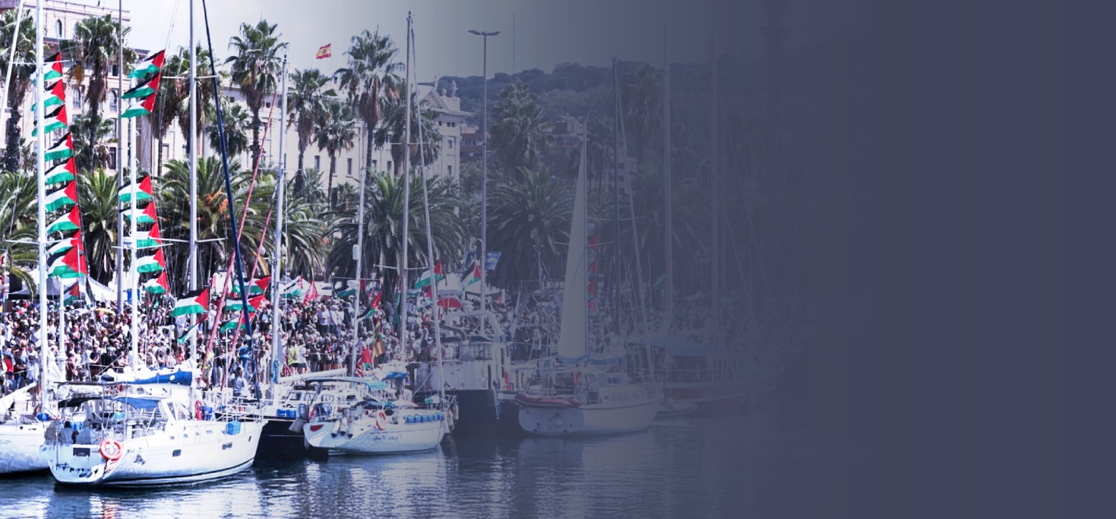 عنوان المقال