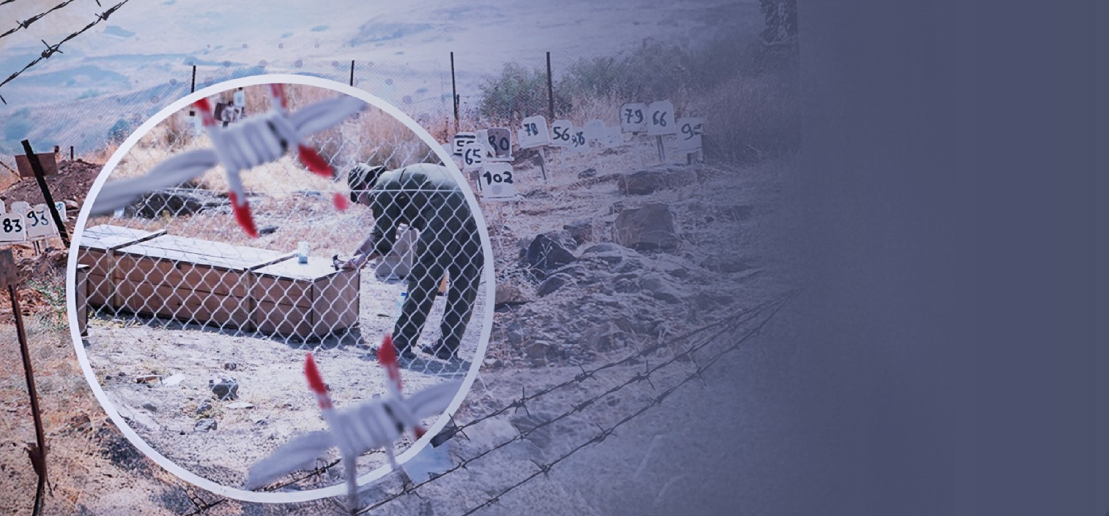 عنوان المقال