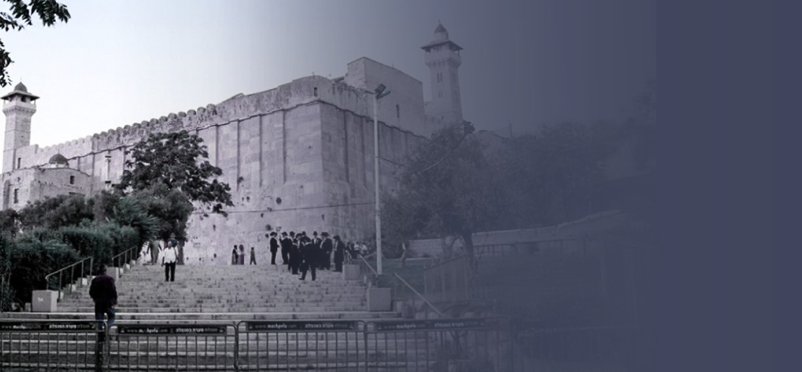 عنوان المقال