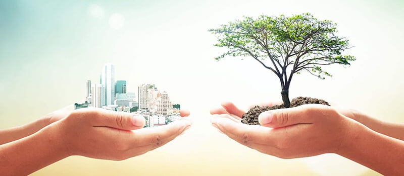تحديات التنمية في الهيئات المحلية