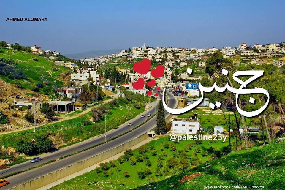 جنين : الأصل أم الاستثناء؟!